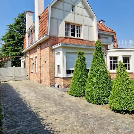 Cedrus * Jabbeke (West-Flanders)